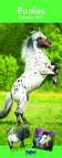Poney
