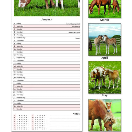 Tallon Donkey, Foal, Horse, Pony Kalender 2027 Slimline