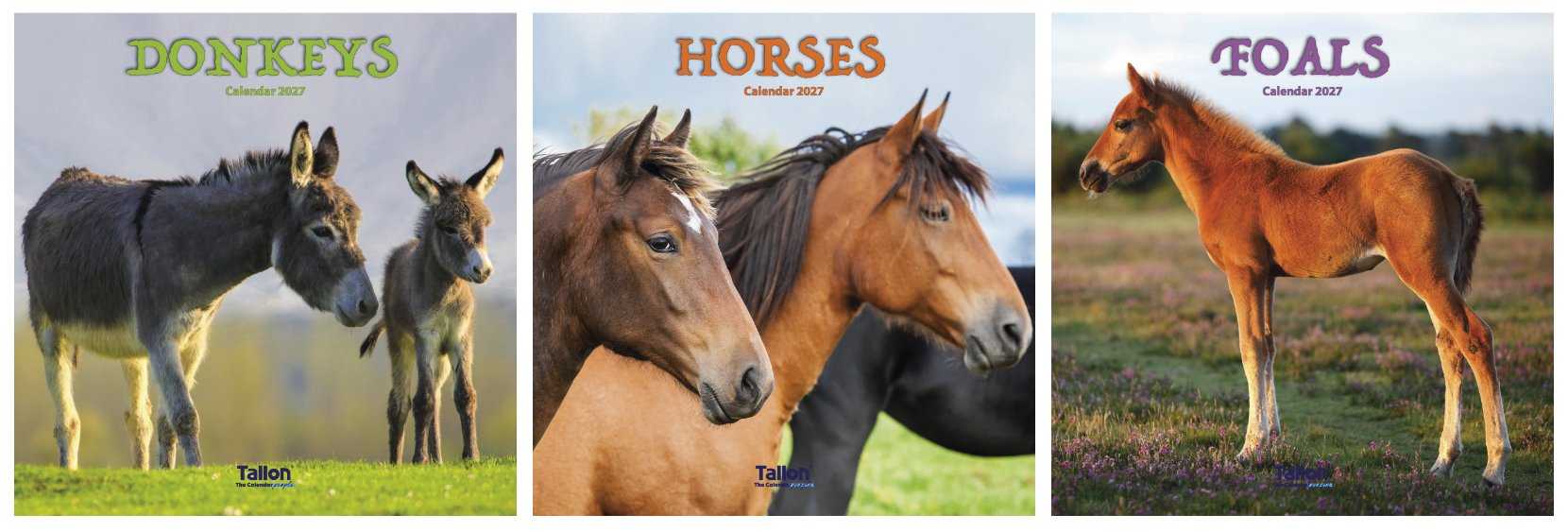 Tallon Donkeys, Horses & Foals Kalender 2027