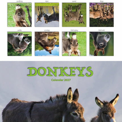 Tallon Donkeys, Horses & Foals Kalender 2027