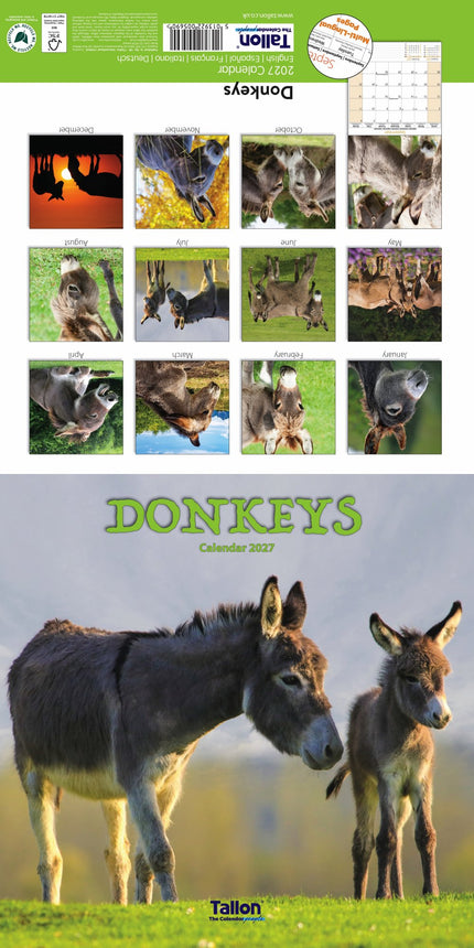 Tallon Donkeys, Horses & Foals Kalender 2027