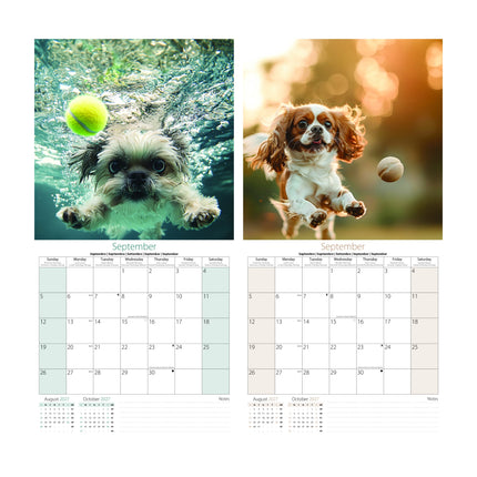 Tallon Fetch Kalender 2027