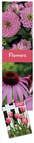 Fleur