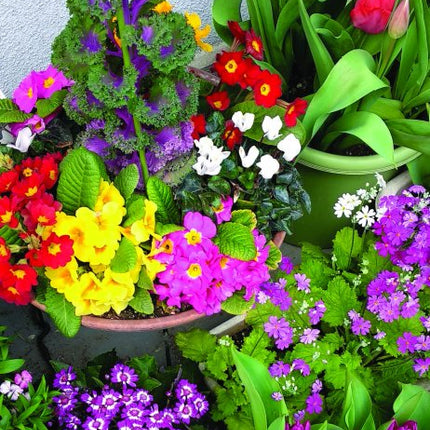 Tallon Flowers and Gardens Midi Kalender 2027
