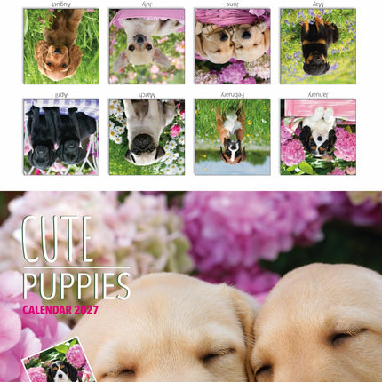 Tallon Kittens and Puppies Kalender 2027