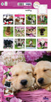 Adorables chiots