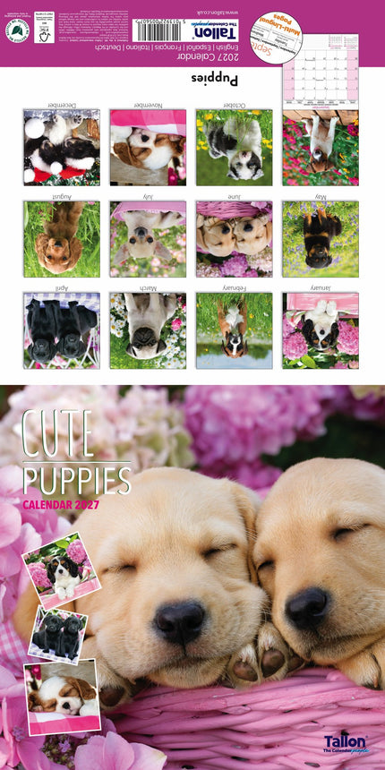Tallon Kittens and Puppies Kalender 2027