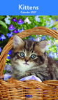 Chatons