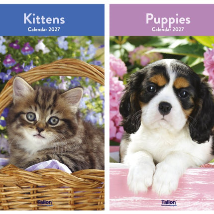 Tallon Kittens & Puppies Midi Kalender 2027