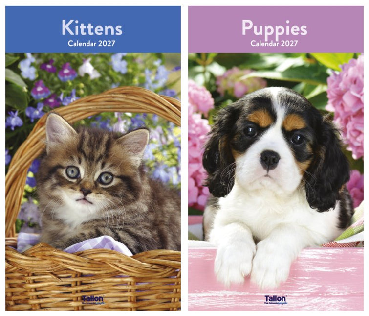 Tallon Kittens & Puppies Midi Kalender 2027