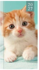 Kitten Groen