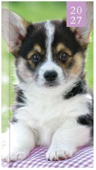 Tallon Pocket Agenda 2027 Foto Kitten & Puppy