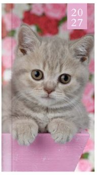 Tallon Pocket Agenda 2027 Foto Kitten & Puppy