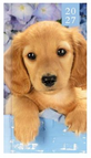 Puppy Blauw