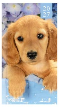 Tallon Slim Agenda 2027 Kitten & Puppy