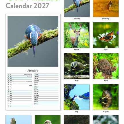 Tallon UK Birds and UK Wildlife Midi Kalender 2027