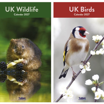 Tallon UK Birds and UK Wildlife Midi Kalender 2027
