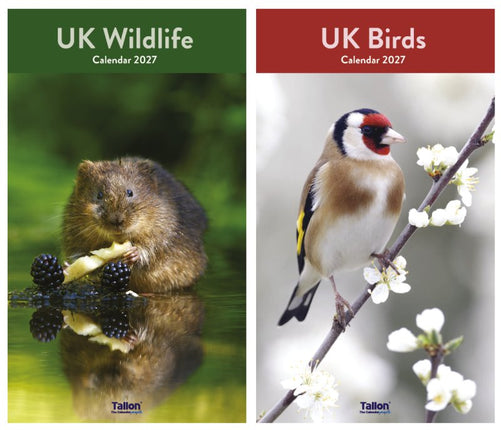 Tallon UK Birds and UK Wildlife Midi Kalender 2027