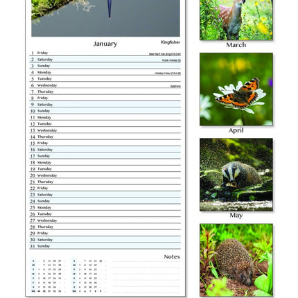 Tallon UK Birds & Wildlife Kalender 2027 Slimline
