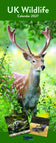 UK Wildlife