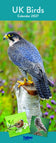 UK Birds