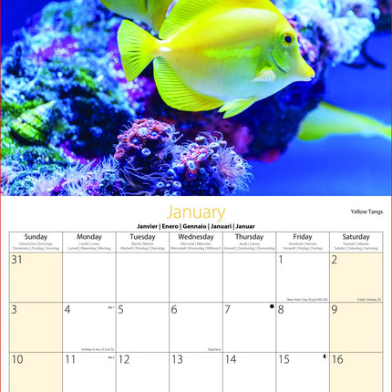 Tallon Wildlife, Birds, Sealife Kalender 2027