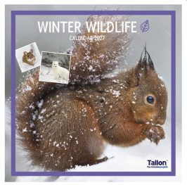 Tallon Wildlife, Birds, Sealife Kalender 2027