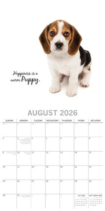The Gifted Stationary Adorable Dogs Kalender 2026
