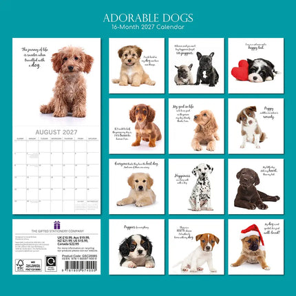 The Gifted Stationary Adorable Dogs Kalender 2027