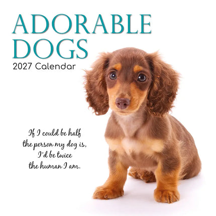 The Gifted Stationary Adorable Dogs Kalender 2027
