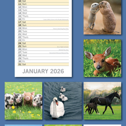 The Gifted Stationary Baby Animals Slimline Kalender 2026