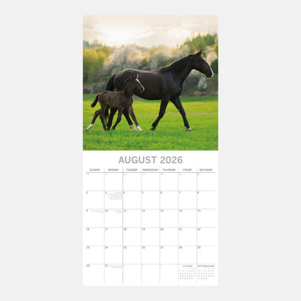 The Gifted Stationary Babydieren Kalender 2026