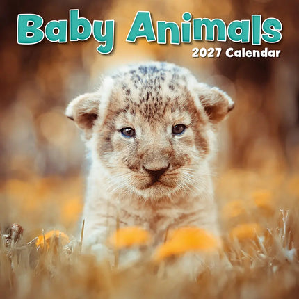 The Gifted Stationary Babydieren Kalender 2027
