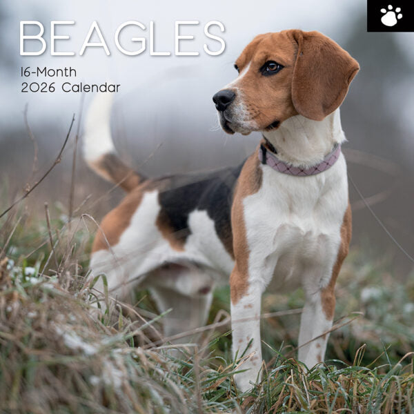 The Gifted Stationary Beagle Kalender 2026