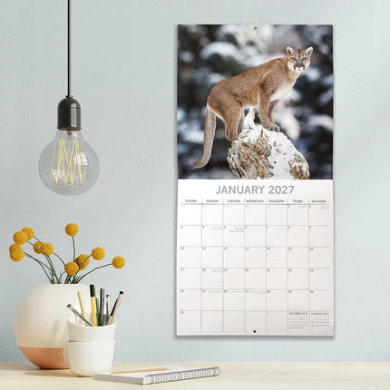 The Gifted Stationary Big Cats Kalender 2027