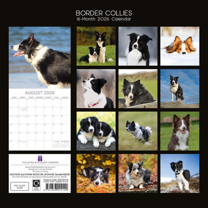The Gifted Stationary Border Collie Kalender 2027