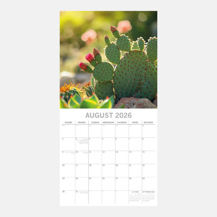 The Gifted Stationary Cactus en Vetplanten Kalender 2026