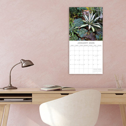 The Gifted Stationary Cactus en Vetplanten Kalender 2026