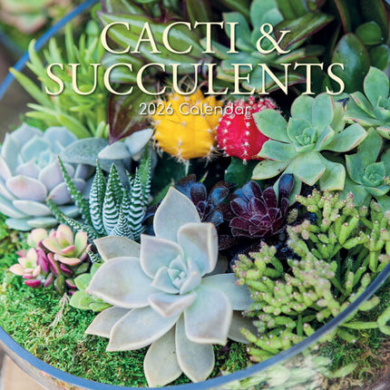 The Gifted Stationary Cactus en Vetplanten Kalender 2026