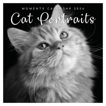 The Gifted Stationary Cat Portraits Kalender 2026