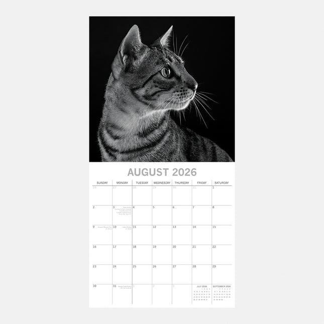 The Gifted Stationary Cat Portraits Kalender 2026