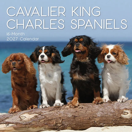 The Gifted Stationary Cavalier King Charles Spaniel Kalender 2027