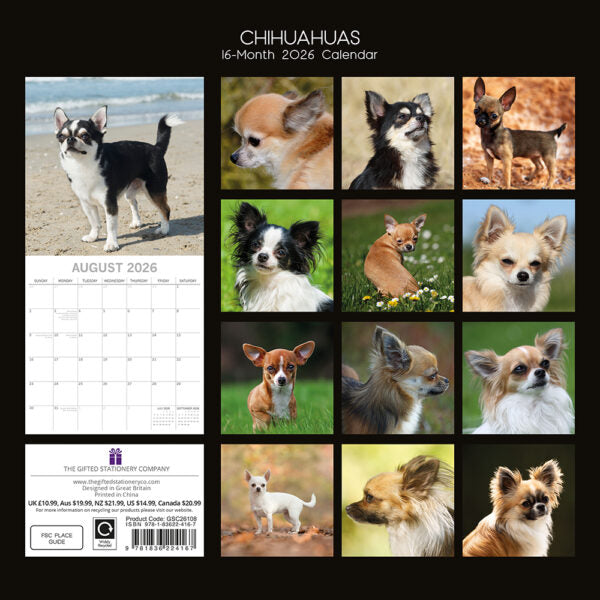 The Gifted Stationary Chihuahua Kalender 2026