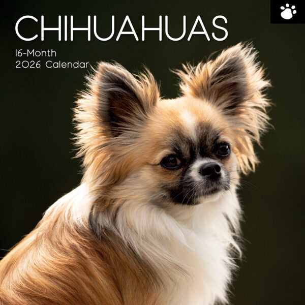 The Gifted Stationary Chihuahua Kalender 2026