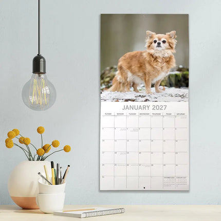 The Gifted Stationary Chihuahua Kalender 2027