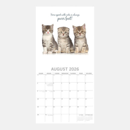 The Gifted Stationary Cute Kittens Kalender 2026