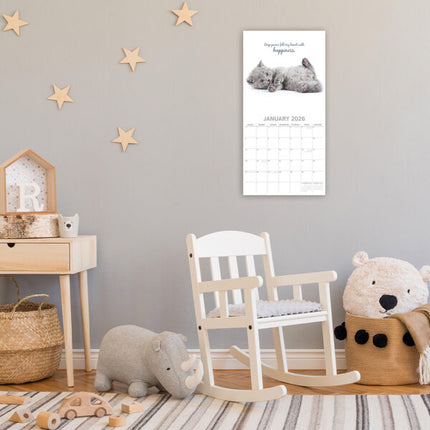 The Gifted Stationary Cute Kittens Kalender 2026