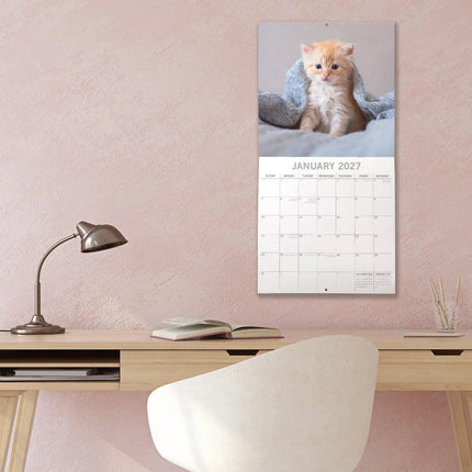 The Gifted Stationary Cute Kittens Kalender 2027