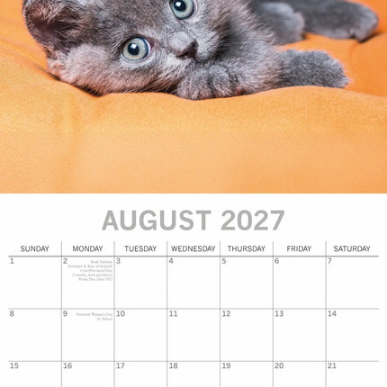 The Gifted Stationary Cute Kittens Kalender 2027