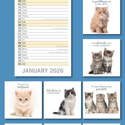 The Gifted Stationary Cute Kittens Slimline Kalender 2026